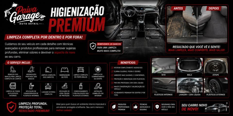 Higienização Interna